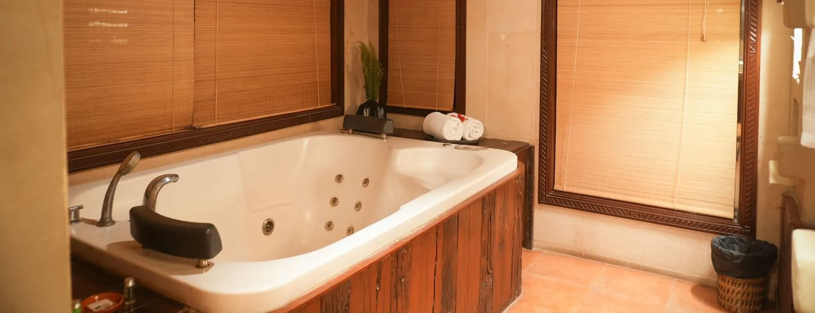 Zaminder_Suite_5